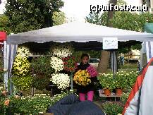 [P06] Cea de-a V-a editie a Festivalului florilor de toamna organizat in Gradina mare din Braila - o toneta ce oferea spre vanzare flori de diferite culori » foto by ascent
 - 
<span class="allrVoted glyphicon glyphicon-heart hidden" id="av153874"></span>
<a class="m-l-10 hidden" id="sv153874" onclick="voting_Foto_DelVot(,153874,5899)" role="button">șterge vot <span class="glyphicon glyphicon-remove"></span></a>
<a id="v9153874" class=" c-red"  onclick="voting_Foto_SetVot(153874)" role="button"><span class="glyphicon glyphicon-heart-empty"></span> <b>LIKE</b> = Votează poza</a> <img class="hidden"  id="f153874W9" src="/imagini/loader.gif" border="0" /><span class="AjErrMes hidden" id="e153874ErM"></span>