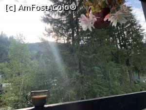 [P08] De la terasa, cafeluta de dimineata » foto by rockgsm
 - 
<span class="allrVoted glyphicon glyphicon-heart hidden" id="av1180149"></span>
<a class="m-l-10 hidden" id="sv1180149" onclick="voting_Foto_DelVot(,1180149,5952)" role="button">șterge vot <span class="glyphicon glyphicon-remove"></span></a>
<a id="v91180149" class=" c-red"  onclick="voting_Foto_SetVot(1180149)" role="button"><span class="glyphicon glyphicon-heart-empty"></span> <b>LIKE</b> = Votează poza</a> <img class="hidden"  id="f1180149W9" src="/imagini/loader.gif" border="0" /><span class="AjErrMes hidden" id="e1180149ErM"></span>