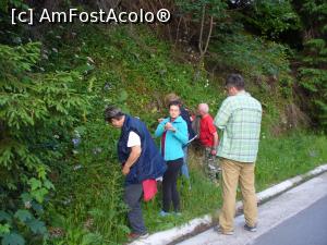 [P07] Am cules si fragute » foto by Slider Zoltan
 - 
<span class="allrVoted glyphicon glyphicon-heart hidden" id="av754094"></span>
<a class="m-l-10 hidden" id="sv754094" onclick="voting_Foto_DelVot(,754094,5952)" role="button">șterge vot <span class="glyphicon glyphicon-remove"></span></a>
<a id="v9754094" class=" c-red"  onclick="voting_Foto_SetVot(754094)" role="button"><span class="glyphicon glyphicon-heart-empty"></span> <b>LIKE</b> = Votează poza</a> <img class="hidden"  id="f754094W9" src="/imagini/loader.gif" border="0" /><span class="AjErrMes hidden" id="e754094ErM"></span>