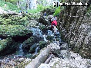 [P06] SAU ASA...  » foto by STATE.ALEX
 - 
<span class="allrVoted glyphicon glyphicon-heart hidden" id="av453505"></span>
<a class="m-l-10 hidden" id="sv453505" onclick="voting_Foto_DelVot(,453505,5952)" role="button">șterge vot <span class="glyphicon glyphicon-remove"></span></a>
<a id="v9453505" class=" c-red"  onclick="voting_Foto_SetVot(453505)" role="button"><span class="glyphicon glyphicon-heart-empty"></span> <b>LIKE</b> = Votează poza</a> <img class="hidden"  id="f453505W9" src="/imagini/loader.gif" border="0" /><span class="AjErrMes hidden" id="e453505ErM"></span>