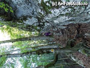 [P07]  -- <small>// FĂRĂ DESCRIERE</small> » foto by STATE.ALEX
 - 
<span class="allrVoted glyphicon glyphicon-heart hidden" id="av453506"></span>
<a class="m-l-10 hidden" id="sv453506" onclick="voting_Foto_DelVot(,453506,5952)" role="button">șterge vot <span class="glyphicon glyphicon-remove"></span></a>
<a id="v9453506" class=" c-red"  onclick="voting_Foto_SetVot(453506)" role="button"><span class="glyphicon glyphicon-heart-empty"></span> <b>LIKE</b> = Votează poza</a> <img class="hidden"  id="f453506W9" src="/imagini/loader.gif" border="0" /><span class="AjErrMes hidden" id="e453506ErM"></span>