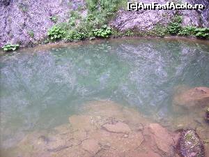 [P04] 'Izbuc', locul unde apa 'apare' la suprafata » foto by teopampa
 - 
<span class="allrVoted glyphicon glyphicon-heart hidden" id="av648855"></span>
<a class="m-l-10 hidden" id="sv648855" onclick="voting_Foto_DelVot(,648855,5952)" role="button">șterge vot <span class="glyphicon glyphicon-remove"></span></a>
<a id="v9648855" class=" c-red"  onclick="voting_Foto_SetVot(648855)" role="button"><span class="glyphicon glyphicon-heart-empty"></span> <b>LIKE</b> = Votează poza</a> <img class="hidden"  id="f648855W9" src="/imagini/loader.gif" border="0" /><span class="AjErrMes hidden" id="e648855ErM"></span>