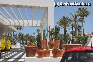[P07] cactusii de la intrarea in hotel » foto by sunnyday07
 - 
<span class="allrVoted glyphicon glyphicon-heart hidden" id="av508556"></span>
<a class="m-l-10 hidden" id="sv508556" onclick="voting_Foto_DelVot(,508556,5986)" role="button">șterge vot <span class="glyphicon glyphicon-remove"></span></a>
<a id="v9508556" class=" c-red"  onclick="voting_Foto_SetVot(508556)" role="button"><span class="glyphicon glyphicon-heart-empty"></span> <b>LIKE</b> = Votează poza</a> <img class="hidden"  id="f508556W9" src="/imagini/loader.gif" border="0" /><span class="AjErrMes hidden" id="e508556ErM"></span>
