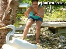 [P17] Hunting for lunch !!! Cred ca era buna la rotisor... » foto by adri-nico
 - 
<span class="allrVoted glyphicon glyphicon-heart hidden" id="av266733"></span>
<a class="m-l-10 hidden" id="sv266733" onclick="voting_Foto_DelVot(,266733,5988)" role="button">șterge vot <span class="glyphicon glyphicon-remove"></span></a>
<a id="v9266733" class=" c-red"  onclick="voting_Foto_SetVot(266733)" role="button"><span class="glyphicon glyphicon-heart-empty"></span> <b>LIKE</b> = Votează poza</a> <img class="hidden"  id="f266733W9" src="/imagini/loader.gif" border="0" /><span class="AjErrMes hidden" id="e266733ErM"></span>