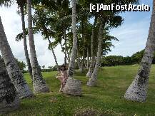 [P26] terenul de golf pazit cu strasnicie de furnicile de pe trunchiul taiat.Vai ce usurime...BRRRR!!! » foto by adri-nico
 - 
<span class="allrVoted glyphicon glyphicon-heart hidden" id="av266821"></span>
<a class="m-l-10 hidden" id="sv266821" onclick="voting_Foto_DelVot(,266821,5988)" role="button">șterge vot <span class="glyphicon glyphicon-remove"></span></a>
<a id="v9266821" class=" c-red"  onclick="voting_Foto_SetVot(266821)" role="button"><span class="glyphicon glyphicon-heart-empty"></span> <b>LIKE</b> = Votează poza</a> <img class="hidden"  id="f266821W9" src="/imagini/loader.gif" border="0" /><span class="AjErrMes hidden" id="e266821ErM"></span>