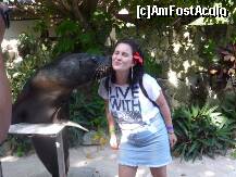 [P35] Sarutul de 'bun venit' al lui Wally ,care ne-a intimpinat la Seaquarium » foto by adri-nico
 - 
<span class="allrVoted glyphicon glyphicon-heart hidden" id="av267823"></span>
<a class="m-l-10 hidden" id="sv267823" onclick="voting_Foto_DelVot(,267823,5988)" role="button">șterge vot <span class="glyphicon glyphicon-remove"></span></a>
<a id="v9267823" class=" c-red"  onclick="voting_Foto_SetVot(267823)" role="button"><span class="glyphicon glyphicon-heart-empty"></span> <b>LIKE</b> = Votează poza</a> <img class="hidden"  id="f267823W9" src="/imagini/loader.gif" border="0" /><span class="AjErrMes hidden" id="e267823ErM"></span>