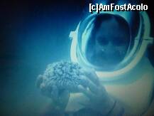 [P40] la citiva metri adincime ,ma jucam cu un arici de mare. » foto by adri-nico
 - 
<span class="allrVoted glyphicon glyphicon-heart hidden" id="av267832"></span>
<a class="m-l-10 hidden" id="sv267832" onclick="voting_Foto_DelVot(,267832,5988)" role="button">șterge vot <span class="glyphicon glyphicon-remove"></span></a>
<a id="v9267832" class=" c-red"  onclick="voting_Foto_SetVot(267832)" role="button"><span class="glyphicon glyphicon-heart-empty"></span> <b>LIKE</b> = Votează poza</a> <img class="hidden"  id="f267832W9" src="/imagini/loader.gif" border="0" /><span class="AjErrMes hidden" id="e267832ErM"></span>