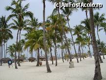 [P03] plaja hotelului » foto by victor229
 - 
<span class="allrVoted glyphicon glyphicon-heart hidden" id="av82416"></span>
<a class="m-l-10 hidden" id="sv82416" onclick="voting_Foto_DelVot(,82416,5988)" role="button">șterge vot <span class="glyphicon glyphicon-remove"></span></a>
<a id="v982416" class=" c-red"  onclick="voting_Foto_SetVot(82416)" role="button"><span class="glyphicon glyphicon-heart-empty"></span> <b>LIKE</b> = Votează poza</a> <img class="hidden"  id="f82416W9" src="/imagini/loader.gif" border="0" /><span class="AjErrMes hidden" id="e82416ErM"></span>