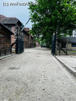 [P18] Auschwitz trip » foto by HelloAlex
 - 
<span class="allrVoted glyphicon glyphicon-heart hidden" id="av1398013"></span>
<a class="m-l-10 hidden" id="sv1398013" onclick="voting_Foto_DelVot(,1398013,5995)" role="button">șterge vot <span class="glyphicon glyphicon-remove"></span></a>
<a id="v91398013" class=" c-red"  onclick="voting_Foto_SetVot(1398013)" role="button"><span class="glyphicon glyphicon-heart-empty"></span> <b>LIKE</b> = Votează poza</a> <img class="hidden"  id="f1398013W9" src="/imagini/loader.gif" border="0" /><span class="AjErrMes hidden" id="e1398013ErM"></span>