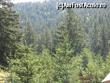 [P03] priveliste din balcon » foto by greeneyes
 - 
<span class="allrVoted glyphicon glyphicon-heart hidden" id="av146267"></span>
<a class="m-l-10 hidden" id="sv146267" onclick="voting_Foto_DelVot(,146267,6012)" role="button">șterge vot <span class="glyphicon glyphicon-remove"></span></a>
<a id="v9146267" class=" c-red"  onclick="voting_Foto_SetVot(146267)" role="button"><span class="glyphicon glyphicon-heart-empty"></span> <b>LIKE</b> = Votează poza</a> <img class="hidden"  id="f146267W9" src="/imagini/loader.gif" border="0" /><span class="AjErrMes hidden" id="e146267ErM"></span>