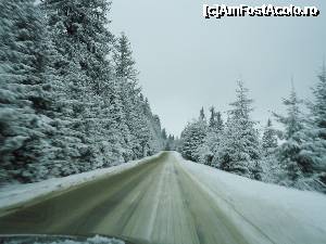 [P01] intre Rasinari si Paltinis » foto by marocanu21
 - 
<span class="allrVoted glyphicon glyphicon-heart hidden" id="av396968"></span>
<a class="m-l-10 hidden" id="sv396968" onclick="voting_Foto_DelVot(,396968,6012)" role="button">șterge vot <span class="glyphicon glyphicon-remove"></span></a>
<a id="v9396968" class=" c-red"  onclick="voting_Foto_SetVot(396968)" role="button"><span class="glyphicon glyphicon-heart-empty"></span> <b>LIKE</b> = Votează poza</a> <img class="hidden"  id="f396968W9" src="/imagini/loader.gif" border="0" /><span class="AjErrMes hidden" id="e396968ErM"></span>