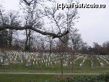 [P09] ARLINGTON- mormintele nurselor; sunt mii. » foto by Michi
 - 
<span class="allrVoted glyphicon glyphicon-heart hidden" id="av83751"></span>
<a class="m-l-10 hidden" id="sv83751" onclick="voting_Foto_DelVot(,83751,6029)" role="button">șterge vot <span class="glyphicon glyphicon-remove"></span></a>
<a id="v983751" class=" c-red"  onclick="voting_Foto_SetVot(83751)" role="button"><span class="glyphicon glyphicon-heart-empty"></span> <b>LIKE</b> = Votează poza</a> <img class="hidden"  id="f83751W9" src="/imagini/loader.gif" border="0" /><span class="AjErrMes hidden" id="e83751ErM"></span>