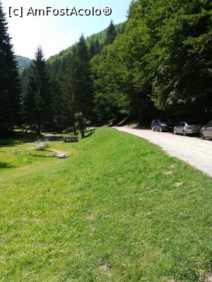 [P10] Peisaj de langa cascada » foto by olteanul2010
 - 
<span class="allrVoted glyphicon glyphicon-heart hidden" id="av1096252"></span>
<a class="m-l-10 hidden" id="sv1096252" onclick="voting_Foto_DelVot(,1096252,6050)" role="button">șterge vot <span class="glyphicon glyphicon-remove"></span></a>
<a id="v91096252" class=" c-red"  onclick="voting_Foto_SetVot(1096252)" role="button"><span class="glyphicon glyphicon-heart-empty"></span> <b>LIKE</b> = Votează poza</a> <img class="hidden"  id="f1096252W9" src="/imagini/loader.gif" border="0" /><span class="AjErrMes hidden" id="e1096252ErM"></span>