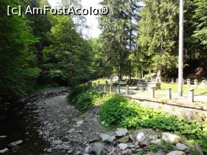 [P12] Vara rumul spre cascada este mai placut » foto by Elissa
 - 
<span class="allrVoted glyphicon glyphicon-heart hidden" id="av829238"></span>
<a class="m-l-10 hidden" id="sv829238" onclick="voting_Foto_DelVot(,829238,6086)" role="button">șterge vot <span class="glyphicon glyphicon-remove"></span></a>
<a id="v9829238" class=" c-red"  onclick="voting_Foto_SetVot(829238)" role="button"><span class="glyphicon glyphicon-heart-empty"></span> <b>LIKE</b> = Votează poza</a> <img class="hidden"  id="f829238W9" src="/imagini/loader.gif" border="0" /><span class="AjErrMes hidden" id="e829238ErM"></span>