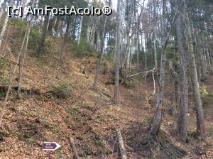 [P23] Slanic Moldova - Am pornit la plimbare asa cum spune indicatorul » foto by mishu
 - 
<span class="allrVoted glyphicon glyphicon-heart hidden" id="av841790"></span>
<a class="m-l-10 hidden" id="sv841790" onclick="voting_Foto_DelVot(,841790,6086)" role="button">șterge vot <span class="glyphicon glyphicon-remove"></span></a>
<a id="v9841790" class=" c-red"  onclick="voting_Foto_SetVot(841790)" role="button"><span class="glyphicon glyphicon-heart-empty"></span> <b>LIKE</b> = Votează poza</a> <img class="hidden"  id="f841790W9" src="/imagini/loader.gif" border="0" /><span class="AjErrMes hidden" id="e841790ErM"></span>