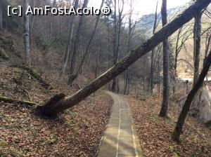 [P25] Slanic Moldova - Atentie la cap » foto by mishu
 - 
<span class="allrVoted glyphicon glyphicon-heart hidden" id="av841792"></span>
<a class="m-l-10 hidden" id="sv841792" onclick="voting_Foto_DelVot(,841792,6086)" role="button">șterge vot <span class="glyphicon glyphicon-remove"></span></a>
<a id="v9841792" class=" c-red"  onclick="voting_Foto_SetVot(841792)" role="button"><span class="glyphicon glyphicon-heart-empty"></span> <b>LIKE</b> = Votează poza</a> <img class="hidden"  id="f841792W9" src="/imagini/loader.gif" border="0" /><span class="AjErrMes hidden" id="e841792ErM"></span>