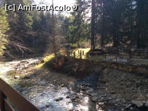 [P33]  -- <small>// FĂRĂ DESCRIERE</small> » foto by mishu
 - 
<span class="allrVoted glyphicon glyphicon-heart hidden" id="av841800"></span>
<a class="m-l-10 hidden" id="sv841800" onclick="voting_Foto_DelVot(,841800,6086)" role="button">șterge vot <span class="glyphicon glyphicon-remove"></span></a>
<a id="v9841800" class=" c-red"  onclick="voting_Foto_SetVot(841800)" role="button"><span class="glyphicon glyphicon-heart-empty"></span> <b>LIKE</b> = Votează poza</a> <img class="hidden"  id="f841800W9" src="/imagini/loader.gif" border="0" /><span class="AjErrMes hidden" id="e841800ErM"></span>