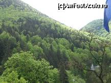 [P01]  -- <small>// FĂRĂ DESCRIERE</small> » foto by daria40
 - 
<span class="allrVoted glyphicon glyphicon-heart hidden" id="av94737"></span>
<a class="m-l-10 hidden" id="sv94737" onclick="voting_Foto_DelVot(,94737,6086)" role="button">șterge vot <span class="glyphicon glyphicon-remove"></span></a>
<a id="v994737" class=" c-red"  onclick="voting_Foto_SetVot(94737)" role="button"><span class="glyphicon glyphicon-heart-empty"></span> <b>LIKE</b> = Votează poza</a> <img class="hidden"  id="f94737W9" src="/imagini/loader.gif" border="0" /><span class="AjErrMes hidden" id="e94737ErM"></span>