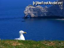 [P04] Etretat - poza de pe Port d'Aval » foto by makuy*
 - 
<span class="allrVoted glyphicon glyphicon-heart hidden" id="av417381"></span>
<a class="m-l-10 hidden" id="sv417381" onclick="voting_Foto_DelVot(,417381,6118)" role="button">șterge vot <span class="glyphicon glyphicon-remove"></span></a>
<a id="v9417381" class=" c-red"  onclick="voting_Foto_SetVot(417381)" role="button"><span class="glyphicon glyphicon-heart-empty"></span> <b>LIKE</b> = Votează poza</a> <img class="hidden"  id="f417381W9" src="/imagini/loader.gif" border="0" /><span class="AjErrMes hidden" id="e417381ErM"></span>