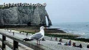 P13 [AUG-2024] Etretat