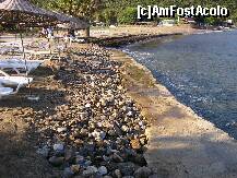 [P07] beach bar-ul se afla in coltul superior stanga al pozei(o lada frigorifica amarata).priviti plaja!in urmatoarea poza veti putea privi ce cataroaie se gasesc in apa,dincolo de acest zid de beton.poate credeati ca in apa e nisip... » foto by andrei.r
 - 
<span class="allrVoted glyphicon glyphicon-heart hidden" id="av242741"></span>
<a class="m-l-10 hidden" id="sv242741" onclick="voting_Foto_DelVot(,242741,6124)" role="button">șterge vot <span class="glyphicon glyphicon-remove"></span></a>
<a id="v9242741" class=" c-red"  onclick="voting_Foto_SetVot(242741)" role="button"><span class="glyphicon glyphicon-heart-empty"></span> <b>LIKE</b> = Votează poza</a> <img class="hidden"  id="f242741W9" src="/imagini/loader.gif" border="0" /><span class="AjErrMes hidden" id="e242741ErM"></span>