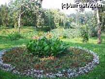 [P05] bucov » foto by Romania4EVER
 - 
<span class="allrVoted glyphicon glyphicon-heart hidden" id="av258120"></span>
<a class="m-l-10 hidden" id="sv258120" onclick="voting_Foto_DelVot(,258120,6204)" role="button">șterge vot <span class="glyphicon glyphicon-remove"></span></a>
<a id="v9258120" class=" c-red"  onclick="voting_Foto_SetVot(258120)" role="button"><span class="glyphicon glyphicon-heart-empty"></span> <b>LIKE</b> = Votează poza</a> <img class="hidden"  id="f258120W9" src="/imagini/loader.gif" border="0" /><span class="AjErrMes hidden" id="e258120ErM"></span>
