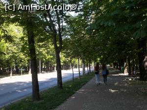 [P11] Bulevardul Castanilor, Ploiești.  » foto by mihaelavoicu
 - 
<span class="allrVoted glyphicon glyphicon-heart hidden" id="av963513"></span>
<a class="m-l-10 hidden" id="sv963513" onclick="voting_Foto_DelVot(,963513,6204)" role="button">șterge vot <span class="glyphicon glyphicon-remove"></span></a>
<a id="v9963513" class=" c-red"  onclick="voting_Foto_SetVot(963513)" role="button"><span class="glyphicon glyphicon-heart-empty"></span> <b>LIKE</b> = Votează poza</a> <img class="hidden"  id="f963513W9" src="/imagini/loader.gif" border="0" /><span class="AjErrMes hidden" id="e963513ErM"></span>