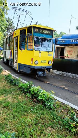 [P05] Tramvai în zona gării. » foto by tata123 🔱
 - 
<span class="allrVoted glyphicon glyphicon-heart hidden" id="av1375463"></span>
<a class="m-l-10 hidden" id="sv1375463" onclick="voting_Foto_DelVot(,1375463,6204)" role="button">șterge vot <span class="glyphicon glyphicon-remove"></span></a>
<a id="v91375463" class=" c-red"  onclick="voting_Foto_SetVot(1375463)" role="button"><span class="glyphicon glyphicon-heart-empty"></span> <b>LIKE</b> = Votează poza</a> <img class="hidden"  id="f1375463W9" src="/imagini/loader.gif" border="0" /><span class="AjErrMes hidden" id="e1375463ErM"></span>