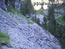 [P03] Cetatile Ponorului » foto by vgaby
 - 
<span class="allrVoted glyphicon glyphicon-heart hidden" id="av90340"></span>
<a class="m-l-10 hidden" id="sv90340" onclick="voting_Foto_DelVot(,90340,6224)" role="button">șterge vot <span class="glyphicon glyphicon-remove"></span></a>
<a id="v990340" class=" c-red"  onclick="voting_Foto_SetVot(90340)" role="button"><span class="glyphicon glyphicon-heart-empty"></span> <b>LIKE</b> = Votează poza</a> <img class="hidden"  id="f90340W9" src="/imagini/loader.gif" border="0" /><span class="AjErrMes hidden" id="e90340ErM"></span>