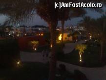 [P09] noaptea toti copacii luminati » foto by nerotudor
 - 
<span class="allrVoted glyphicon glyphicon-heart hidden" id="av90548"></span>
<a class="m-l-10 hidden" id="sv90548" onclick="voting_Foto_DelVot(,90548,6225)" role="button">șterge vot <span class="glyphicon glyphicon-remove"></span></a>
<a id="v990548" class=" c-red"  onclick="voting_Foto_SetVot(90548)" role="button"><span class="glyphicon glyphicon-heart-empty"></span> <b>LIKE</b> = Votează poza</a> <img class="hidden"  id="f90548W9" src="/imagini/loader.gif" border="0" /><span class="AjErrMes hidden" id="e90548ErM"></span>