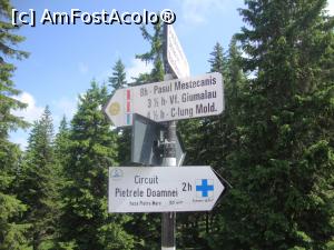 [P53] Indicatoare cu trasee care pleacă din parcarea cabanei Rarău. » foto by Floryn81
 - 
<span class="allrVoted glyphicon glyphicon-heart hidden" id="av756708"></span>
<a class="m-l-10 hidden" id="sv756708" onclick="voting_Foto_DelVot(,756708,6227)" role="button">șterge vot <span class="glyphicon glyphicon-remove"></span></a>
<a id="v9756708" class=" c-red"  onclick="voting_Foto_SetVot(756708)" role="button"><span class="glyphicon glyphicon-heart-empty"></span> <b>LIKE</b> = Votează poza</a> <img class="hidden"  id="f756708W9" src="/imagini/loader.gif" border="0" /><span class="AjErrMes hidden" id="e756708ErM"></span>
