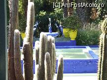 [P04] gradina  Majorelle » foto by caromoos
 - 
<span class="allrVoted glyphicon glyphicon-heart hidden" id="av94907"></span>
<a class="m-l-10 hidden" id="sv94907" onclick="voting_Foto_DelVot(,94907,6307)" role="button">șterge vot <span class="glyphicon glyphicon-remove"></span></a>
<a id="v994907" class=" c-red"  onclick="voting_Foto_SetVot(94907)" role="button"><span class="glyphicon glyphicon-heart-empty"></span> <b>LIKE</b> = Votează poza</a> <img class="hidden"  id="f94907W9" src="/imagini/loader.gif" border="0" /><span class="AjErrMes hidden" id="e94907ErM"></span>