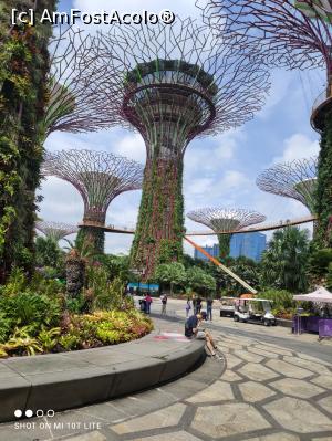 [P10] Gardens by the Bay » foto by Mephisto
 - 
<span class="allrVoted glyphicon glyphicon-heart hidden" id="av1334804"></span>
<a class="m-l-10 hidden" id="sv1334804" onclick="voting_Foto_DelVot(,1334804,6314)" role="button">șterge vot <span class="glyphicon glyphicon-remove"></span></a>
<a id="v91334804" class=" c-red"  onclick="voting_Foto_SetVot(1334804)" role="button"><span class="glyphicon glyphicon-heart-empty"></span> <b>LIKE</b> = Votează poza</a> <img class="hidden"  id="f1334804W9" src="/imagini/loader.gif" border="0" /><span class="AjErrMes hidden" id="e1334804ErM"></span>