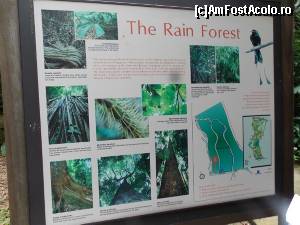 [P14] Panou cu imagini din Rain Forest la intrare » foto by mprofeanu
 - 
<span class="allrVoted glyphicon glyphicon-heart hidden" id="av602801"></span>
<a class="m-l-10 hidden" id="sv602801" onclick="voting_Foto_DelVot(,602801,6314)" role="button">șterge vot <span class="glyphicon glyphicon-remove"></span></a>
<a id="v9602801" class=" c-red"  onclick="voting_Foto_SetVot(602801)" role="button"><span class="glyphicon glyphicon-heart-empty"></span> <b>LIKE</b> = Votează poza</a> <img class="hidden"  id="f602801W9" src="/imagini/loader.gif" border="0" /><span class="AjErrMes hidden" id="e602801ErM"></span>