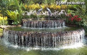 [P25] Crane Fountain cu cele doua statui iconice Orchid Garden » foto by mprofeanu
 - 
<span class="allrVoted glyphicon glyphicon-heart hidden" id="av602822"></span>
<a class="m-l-10 hidden" id="sv602822" onclick="voting_Foto_DelVot(,602822,6314)" role="button">șterge vot <span class="glyphicon glyphicon-remove"></span></a>
<a id="v9602822" class=" c-red"  onclick="voting_Foto_SetVot(602822)" role="button"><span class="glyphicon glyphicon-heart-empty"></span> <b>LIKE</b> = Votează poza</a> <img class="hidden"  id="f602822W9" src="/imagini/loader.gif" border="0" /><span class="AjErrMes hidden" id="e602822ErM"></span>