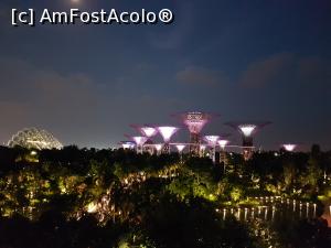 [P22] Poveste de noapte... Gardens by the Bay » foto by Kyandra
 - 
<span class="allrVoted glyphicon glyphicon-heart hidden" id="av853935"></span>
<a class="m-l-10 hidden" id="sv853935" onclick="voting_Foto_DelVot(,853935,6314)" role="button">șterge vot <span class="glyphicon glyphicon-remove"></span></a>
<a id="v9853935" class=" c-red"  onclick="voting_Foto_SetVot(853935)" role="button"><span class="glyphicon glyphicon-heart-empty"></span> <b>LIKE</b> = Votează poza</a> <img class="hidden"  id="f853935W9" src="/imagini/loader.gif" border="0" /><span class="AjErrMes hidden" id="e853935ErM"></span>