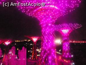 [P18] spectacol de lumini si sunet Garden by the Bay » foto by monaserban
 - 
<span class="allrVoted glyphicon glyphicon-heart hidden" id="av820895"></span>
<a class="m-l-10 hidden" id="sv820895" onclick="voting_Foto_DelVot(,820895,6314)" role="button">șterge vot <span class="glyphicon glyphicon-remove"></span></a>
<a id="v9820895" class=" c-red"  onclick="voting_Foto_SetVot(820895)" role="button"><span class="glyphicon glyphicon-heart-empty"></span> <b>LIKE</b> = Votează poza</a> <img class="hidden"  id="f820895W9" src="/imagini/loader.gif" border="0" /><span class="AjErrMes hidden" id="e820895ErM"></span>