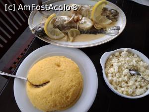 [P16] Pastrav cu sos de smantana, mamaliguta si branza de burduf » foto by ascent
 - 
<span class="allrVoted glyphicon glyphicon-heart hidden" id="av989941"></span>
<a class="m-l-10 hidden" id="sv989941" onclick="voting_Foto_DelVot(,989941,6318)" role="button">șterge vot <span class="glyphicon glyphicon-remove"></span></a>
<a id="v9989941" class=" c-red"  onclick="voting_Foto_SetVot(989941)" role="button"><span class="glyphicon glyphicon-heart-empty"></span> <b>LIKE</b> = Votează poza</a> <img class="hidden"  id="f989941W9" src="/imagini/loader.gif" border="0" /><span class="AjErrMes hidden" id="e989941ErM"></span>