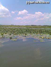 [P04] Intindere de nuferi » foto by Tzutzuricu40
 - 
<span class="allrVoted glyphicon glyphicon-heart hidden" id="av244030"></span>
<a class="m-l-10 hidden" id="sv244030" onclick="voting_Foto_DelVot(,244030,6339)" role="button">șterge vot <span class="glyphicon glyphicon-remove"></span></a>
<a id="v9244030" class=" c-red"  onclick="voting_Foto_SetVot(244030)" role="button"><span class="glyphicon glyphicon-heart-empty"></span> <b>LIKE</b> = Votează poza</a> <img class="hidden"  id="f244030W9" src="/imagini/loader.gif" border="0" /><span class="AjErrMes hidden" id="e244030ErM"></span>