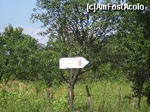 [P03] Catre Muntele Mic » foto by turist.real
 - 
<span class="allrVoted glyphicon glyphicon-heart hidden" id="av187642"></span>
<a class="m-l-10 hidden" id="sv187642" onclick="voting_Foto_DelVot(,187642,6368)" role="button">șterge vot <span class="glyphicon glyphicon-remove"></span></a>
<a id="v9187642" class=" c-red"  onclick="voting_Foto_SetVot(187642)" role="button"><span class="glyphicon glyphicon-heart-empty"></span> <b>LIKE</b> = Votează poza</a> <img class="hidden"  id="f187642W9" src="/imagini/loader.gif" border="0" /><span class="AjErrMes hidden" id="e187642ErM"></span>