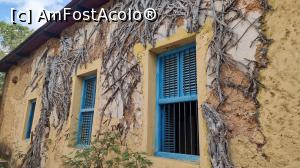 [P49] casa de tortură » foto by robert
 - 
<span class="allrVoted glyphicon glyphicon-heart hidden" id="av1273277"></span>
<a class="m-l-10 hidden" id="sv1273277" onclick="voting_Foto_DelVot(,1273277,6379)" role="button">șterge vot <span class="glyphicon glyphicon-remove"></span></a>
<a id="v91273277" class=" c-red"  onclick="voting_Foto_SetVot(1273277)" role="button"><span class="glyphicon glyphicon-heart-empty"></span> <b>LIKE</b> = Votează poza</a> <img class="hidden"  id="f1273277W9" src="/imagini/loader.gif" border="0" /><span class="AjErrMes hidden" id="e1273277ErM"></span>