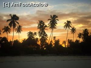 [P10] Apus in Zanzibar » foto by trav3licious
 - 
<span class="allrVoted glyphicon glyphicon-heart hidden" id="av818490"></span>
<a class="m-l-10 hidden" id="sv818490" onclick="voting_Foto_DelVot(,818490,6379)" role="button">șterge vot <span class="glyphicon glyphicon-remove"></span></a>
<a id="v9818490" class=" c-red"  onclick="voting_Foto_SetVot(818490)" role="button"><span class="glyphicon glyphicon-heart-empty"></span> <b>LIKE</b> = Votează poza</a> <img class="hidden"  id="f818490W9" src="/imagini/loader.gif" border="0" /><span class="AjErrMes hidden" id="e818490ErM"></span>