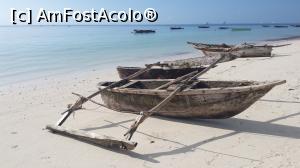 [P01] Barci traditionale zanzibareze » foto by trav3licious
 - 
<span class="allrVoted glyphicon glyphicon-heart hidden" id="av825021"></span>
<a class="m-l-10 hidden" id="sv825021" onclick="voting_Foto_DelVot(,825021,6379)" role="button">șterge vot <span class="glyphicon glyphicon-remove"></span></a>
<a id="v9825021" class=" c-red"  onclick="voting_Foto_SetVot(825021)" role="button"><span class="glyphicon glyphicon-heart-empty"></span> <b>LIKE</b> = Votează poza</a> <img class="hidden"  id="f825021W9" src="/imagini/loader.gif" border="0" /><span class="AjErrMes hidden" id="e825021ErM"></span>