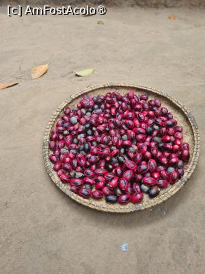 [P06] Tava cu Nucsoara » foto by Tonyc
 - 
<span class="allrVoted glyphicon glyphicon-heart hidden" id="av1516880"></span>
<a class="m-l-10 hidden" id="sv1516880" onclick="voting_Foto_DelVot(,1516880,6379)" role="button">șterge vot <span class="glyphicon glyphicon-remove"></span></a>
<a id="v91516880" class=" c-red"  onclick="voting_Foto_SetVot(1516880)" role="button"><span class="glyphicon glyphicon-heart-empty"></span> <b>LIKE</b> = Votează poza</a> <img class="hidden"  id="f1516880W9" src="/imagini/loader.gif" border="0" /><span class="AjErrMes hidden" id="e1516880ErM"></span>