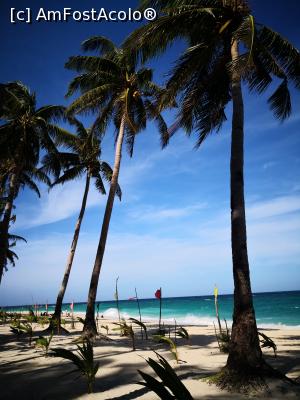 [P10] Puka beach, Boracay.  » foto by dan39
 - 
<span class="allrVoted glyphicon glyphicon-heart hidden" id="av1049844"></span>
<a class="m-l-10 hidden" id="sv1049844" onclick="voting_Foto_DelVot(,1049844,6389)" role="button">șterge vot <span class="glyphicon glyphicon-remove"></span></a>
<a id="v91049844" class=" c-red"  onclick="voting_Foto_SetVot(1049844)" role="button"><span class="glyphicon glyphicon-heart-empty"></span> <b>LIKE</b> = Votează poza</a> <img class="hidden"  id="f1049844W9" src="/imagini/loader.gif" border="0" /><span class="AjErrMes hidden" id="e1049844ErM"></span>