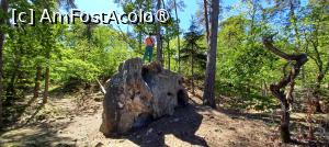 [P27] Stânca-burete (Roche-Eponge) în pădurea Fontainebleau » foto by BristenaBrad
 - 
<span class="allrVoted glyphicon glyphicon-heart hidden" id="av1528315"></span>
<a class="m-l-10 hidden" id="sv1528315" onclick="voting_Foto_DelVot(,1528315,6443)" role="button">șterge vot <span class="glyphicon glyphicon-remove"></span></a>
<a id="v91528315" class=" c-red"  onclick="voting_Foto_SetVot(1528315)" role="button"><span class="glyphicon glyphicon-heart-empty"></span> <b>LIKE</b> = Votează poza</a> <img class="hidden"  id="f1528315W9" src="/imagini/loader.gif" border="0" /><span class="AjErrMes hidden" id="e1528315ErM"></span>