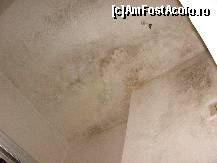 [P10] tavanul din baia mica » foto by amalyca
 - 
<span class="allrVoted glyphicon glyphicon-heart hidden" id="av99045"></span>
<a class="m-l-10 hidden" id="sv99045" onclick="voting_Foto_DelVot(,99045,6453)" role="button">șterge vot <span class="glyphicon glyphicon-remove"></span></a>
<a id="v999045" class=" c-red"  onclick="voting_Foto_SetVot(99045)" role="button"><span class="glyphicon glyphicon-heart-empty"></span> <b>LIKE</b> = Votează poza</a> <img class="hidden"  id="f99045W9" src="/imagini/loader.gif" border="0" /><span class="AjErrMes hidden" id="e99045ErM"></span>