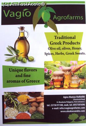 [P27] Pliant-reclamă la produse tradiţionale greceşti.  » foto by Carmen Ion
 - 
<span class="allrVoted glyphicon glyphicon-heart hidden" id="av800602"></span>
<a class="m-l-10 hidden" id="sv800602" onclick="voting_Foto_DelVot(,800602,6484)" role="button">șterge vot <span class="glyphicon glyphicon-remove"></span></a>
<a id="v9800602" class=" c-red"  onclick="voting_Foto_SetVot(800602)" role="button"><span class="glyphicon glyphicon-heart-empty"></span> <b>LIKE</b> = Votează poza</a> <img class="hidden"  id="f800602W9" src="/imagini/loader.gif" border="0" /><span class="AjErrMes hidden" id="e800602ErM"></span>