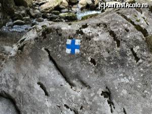 [P50] crucea albastra ne-a calauzit pasii » foto by Dan&Ema
 - 
<span class="allrVoted glyphicon glyphicon-heart hidden" id="av663775"></span>
<a class="m-l-10 hidden" id="sv663775" onclick="voting_Foto_DelVot(,663775,6602)" role="button">șterge vot <span class="glyphicon glyphicon-remove"></span></a>
<a id="v9663775" class=" c-red"  onclick="voting_Foto_SetVot(663775)" role="button"><span class="glyphicon glyphicon-heart-empty"></span> <b>LIKE</b> = Votează poza</a> <img class="hidden"  id="f663775W9" src="/imagini/loader.gif" border="0" /><span class="AjErrMes hidden" id="e663775ErM"></span>