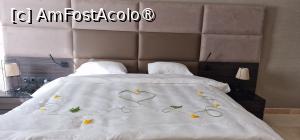 [P25]  -- <small>// FĂRĂ DESCRIERE</small> » foto by CHRISTIANA05
 - 
<span class="allrVoted glyphicon glyphicon-heart hidden" id="av1431495"></span>
<a class="m-l-10 hidden" id="sv1431495" onclick="voting_Foto_DelVot(,1431495,6617)" role="button">șterge vot <span class="glyphicon glyphicon-remove"></span></a>
<a id="v91431495" class=" c-red"  onclick="voting_Foto_SetVot(1431495)" role="button"><span class="glyphicon glyphicon-heart-empty"></span> <b>LIKE</b> = Votează poza</a> <img class="hidden"  id="f1431495W9" src="/imagini/loader.gif" border="0" /><span class="AjErrMes hidden" id="e1431495ErM"></span>